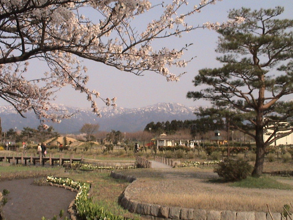 瓢湖と阿賀野市のシンボル五頭山