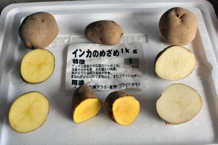 中央の黄色いジャガイモが”インカのめざめ”title=
